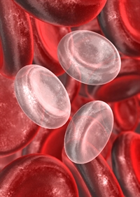 Iron deficiency (symbolized by the pale cells) is the most common cause of a low RBC count.