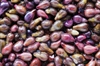 Grape seed beneficial in fight against cancer and heart disease