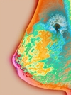 Navigating the evidence about cancer screening