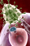 HIV: Make the diagnosis and take the next step