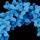 Staphylococcus aureus bacteria Staphylococcus aureus bacteria