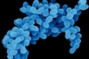 Skin and Soft Tissue Infections