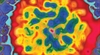 Demystifying the liver and its diseases