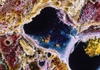 What to do with a positive hepatitis C test