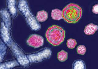 Providers with HBV can keep practicing Providers with HBV can keep practicing