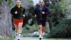 The effects of exercise on LDL 