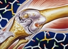 Osteoarthritis and  Rheumatoid ­Arthritis 2012: Pathophysiology, Diagnosis,  and Treatment