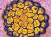 Primary-care prevention of cervical cancer