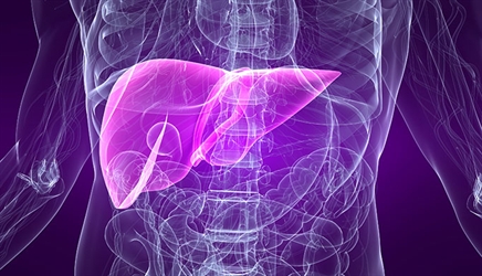 Follow-up tests to confirm HCV infection often not performed