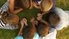 Adolescent risk-taking: salt and ice challenge Adolescent risk-taking: salt and ice challenge