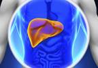 Ezetimibe not effective in treating NASH Ezetimibe not effective in treating NASH