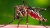Understanding the Zika Virus and Outbreak Understanding the Zika Virus and Outbreak