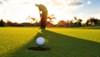 Pesticides and
Parkinson's disease Pesticides and
Parkinson's disease