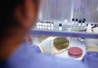Enterovirus infections associated with autoimmunity in type 1 diabetes Enterovirus infections associated with autoimmunity in type 1 diabetes