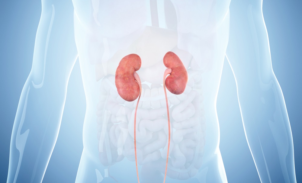 infection-risk-increases-with-reduced-kidney-function-the-clinical-advisor