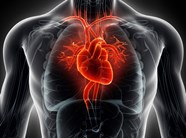 Valvular Heart Disease 2017 Updated Guideline From The AHA ACC The 