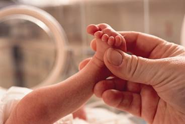 Majority of birth defects have unknown etiology Majority of birth defects have unknown etiology