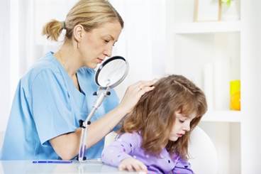 Stat consult: Head lice Stat consult: Head lice