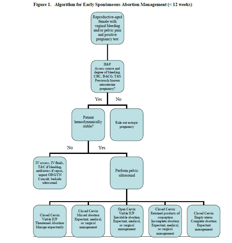 Spontaneous Abortion - The Clinical Advisor