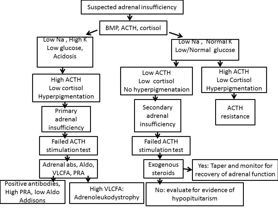 Adrenal Insufficiency The Clinical Advisor