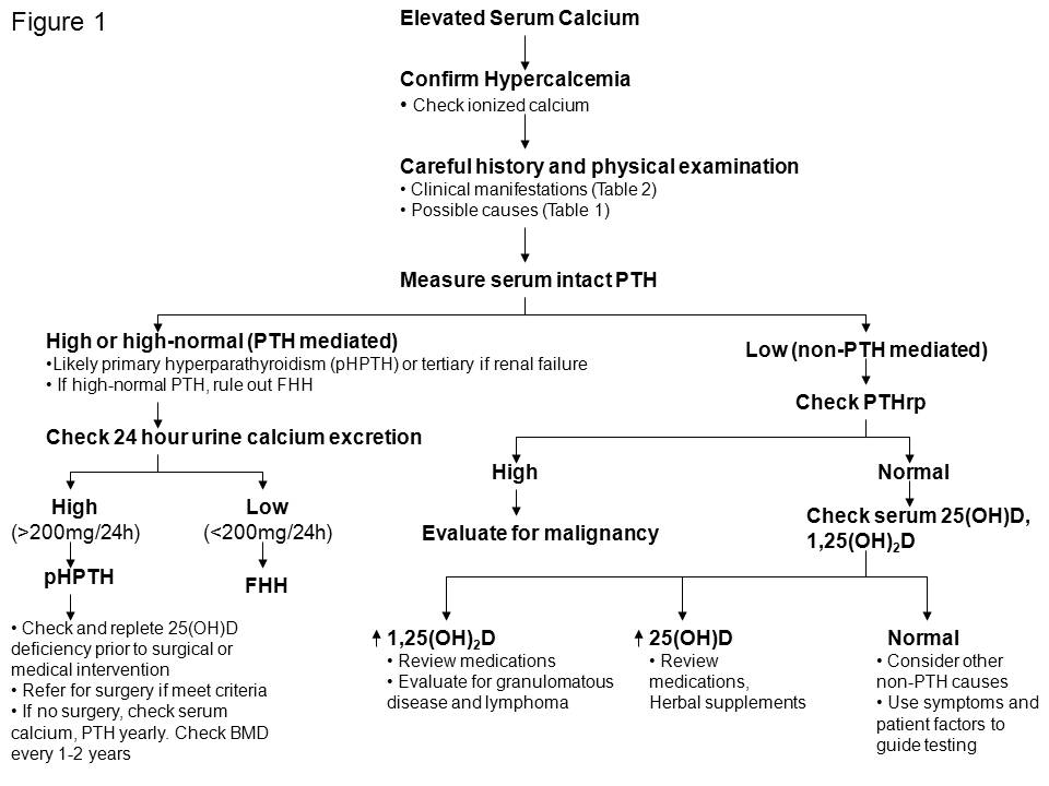 Calcium Metabolism Disorders The Clinical Advisor