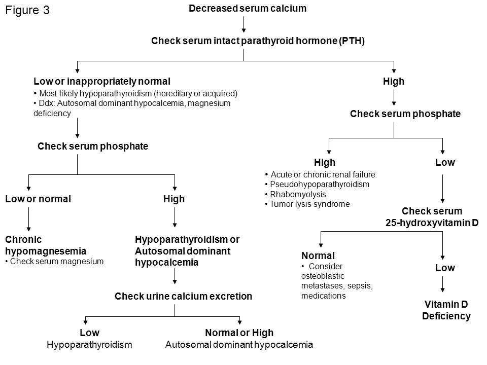 Calcium Metabolism Disorders The Clinical Advisor