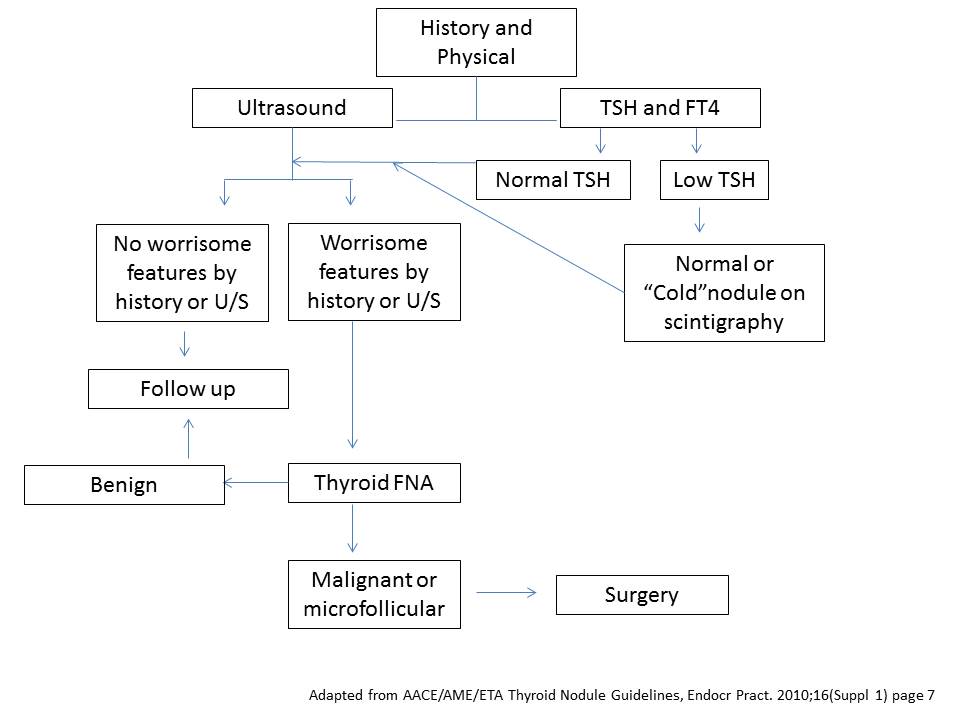 thyroid-nodules-and-thyroid-cancer-the-clinical-advisor