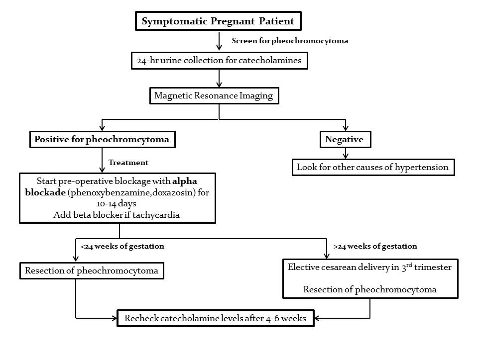 Pheochromocytoma - The Clinical Advisor