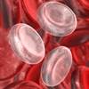 What you can learn from RBC analysis What you can learn from RBC analysis