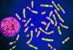 Determining when men need testosterone Determining when men need testosterone