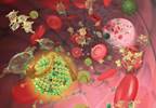 "Bad" cholesterol levels on the decline "Bad" cholesterol levels on the decline