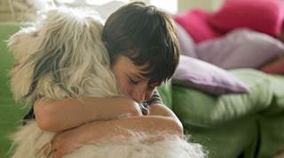 Dogs at home mean fewer breathing problems for kids Dogs at home mean fewer breathing problems for kids