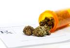 Is medical marijuana reducing opioid overdose mortality? Is medical marijuana reducing opioid overdose mortality?
