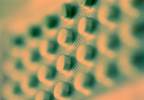 Oral contraceptives typically have little impact on libido Oral contraceptives typically have little impact on libido