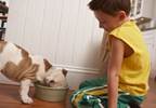 Pets help kids with autism improve social skills Pets help kids with autism improve social skills