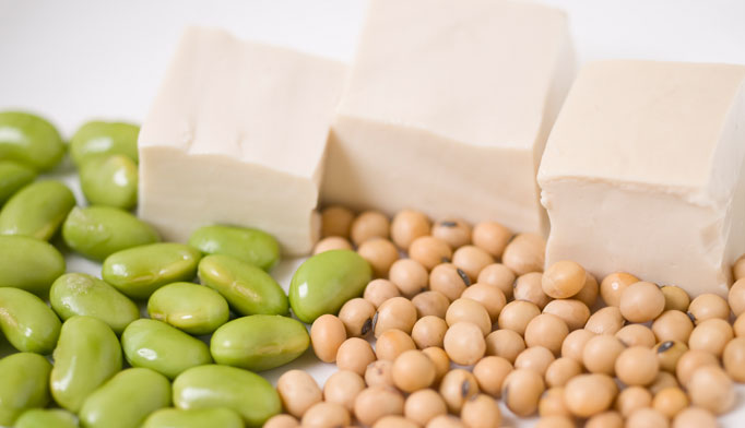 Dietary soy, fiber does not prevent menopause symptoms 