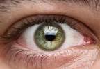 Retinal thinning may correspond with MS progression Retinal thinning may correspond with MS progression