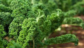 Magnesium may lower diabetes risk Magnesium may lower diabetes risk