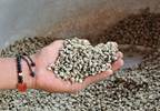 Green coffee extract: A weight-loss aid? Green coffee extract: A weight-loss aid?