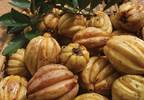 Garcinia cambogia: An answer to obesity? Garcinia cambogia: An answer to obesity?