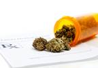 Should Medical Marijuana Be Used To Treat Epileptic Children? Should Medical Marijuana Be Used To Treat Epileptic Children?