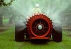 DDT exposure linked to Alzheimer risk DDT exposure linked to Alzheimer risk
