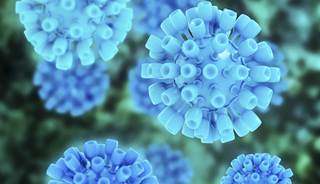 USPSTF: Screen high-risk adults for hep B USPSTF: Screen high-risk adults for hep B