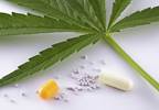 AAN endorses cannabis for MS AAN endorses cannabis for MS