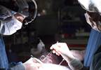 PAs, NPs shoulder bulk of blood/marrow transplant patient care PAs, NPs shoulder bulk of blood/marrow transplant patient care
