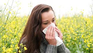 Stress may contribute to allergy flares Stress may contribute to allergy flares