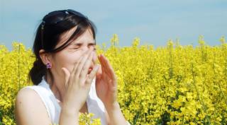 Overlapping allergy seasons cause 'pollen vortex' Overlapping allergy seasons cause 'pollen vortex'