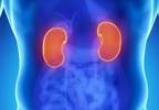 Kidney transplants linked to higher survival rates Kidney transplants linked to higher survival rates