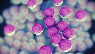 Dalbavancin, oritavancin effective against skin infections Dalbavancin, oritavancin effective against skin infections