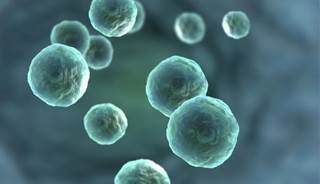 Cholesterol metabolism linked to lack of HIV-1 progression Cholesterol metabolism linked to lack of HIV-1 progression